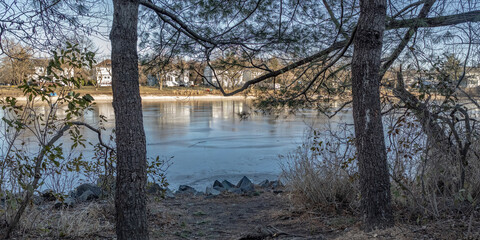 Background - Pond on Sunny Day 