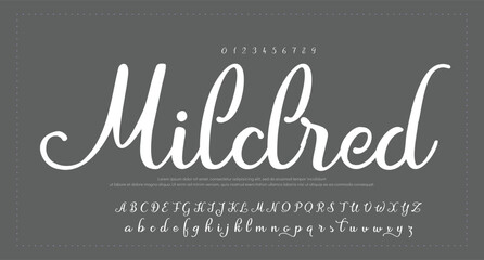 signature Font Calligraphy Logotype Script Brush Font Type Font lettering handwritten. vector illustration  