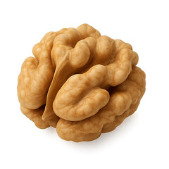 High-quality isolated image of a walnut kernel on a transparent background without shadow. The nut shows realistic texture, warm natural color, and detailed surface, perfect for food design, packaging