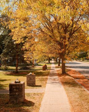 Autumn color in Bloomfield, New York
