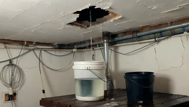 Dripping from a Damaged Ceiling into a Plastic Bucket During a Home Renovation