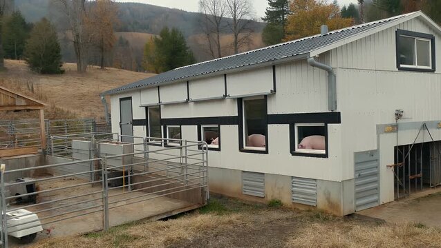 Contemporary and Technologically Advanced Agricultural Operation for the Rearing and Production of Swine Livestock in a Rural