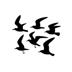 White flock of birds flying simple line art style
