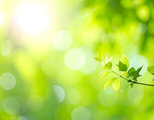 A bright, soft-focus shot captures a vibrant green background blurred foliage. circular bokeh highlights. the dreamy and natural