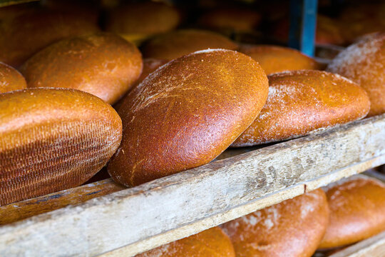 Freshly baked bread loaves displayed on wooden shelves in a local bakery during morning hours