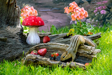 Garden scene with chipmunk and ants holding  ripe strawberries 