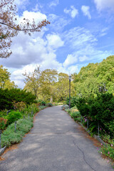 Paved park path surrounded by dense shrubs and trees on a partly cloudy day