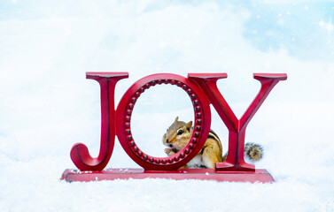 chipmunk hides behind a JOY sign in the snow, in this adorable holiday scene with text space