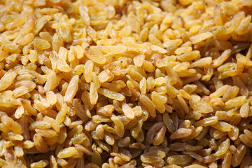 Plump golden grains of rice in a sunny field setting