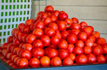 Pyramid of tomatoes is stacked for sale at a farm market 