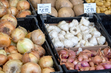 Garlic, shallots and onions for sale in bins, at a farm market in the USA