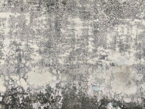 grunge  texture of concrete weathered wall