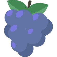A Single Cluster of Dark Purple Grapes with Two Green Leaves and a Brown Stem Against a White Background