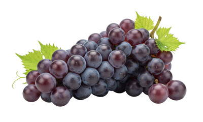 Fototapeta premium A fresh bunch of ripe dark purple grapes with green leaves, isolated on a clean white background.
