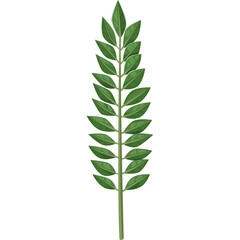 CloseUp Of A Green Leafy Branch With Detailed Veins On A Transparent Background