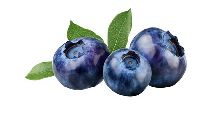 Obraz premium A close up of three blueberries with green leaves isolated on a black background in high resolution