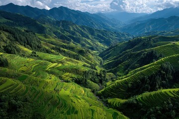 Obraz premium Lush Green Rice Terraces in Mountainous Valley Landscape