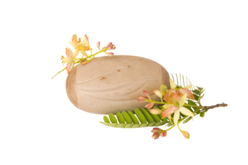 cubes soap extract herbal tamarind health care for wash skin arrangement flat lay style 