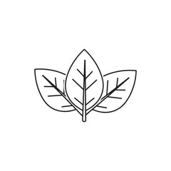 Tobacco leaves icon line art vector on white back ground