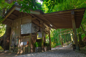 神龍八大龍王神社