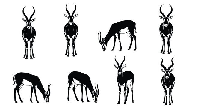 Springbok antelope vector illustration set black and white design