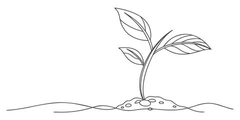Vector line drawing of a young plant with three leaves emerging from soil on a white background illustration