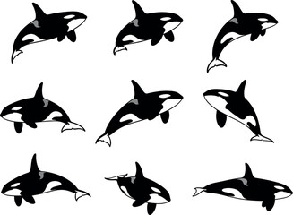 Collection of nine orca whale illustrations in various dynamic poses, isolated on a white background