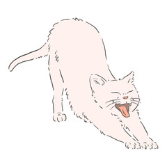 のびをする白猫のイラスト