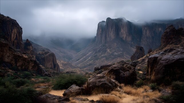 A moody mist shrouded mountain canyon with rugged cliffs and dry desert vegetation under an overcast sky - Powered by Adobe