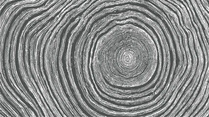 Close up of grey and white tree rings texture pattern wood