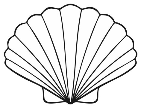 Scallop seashell line art illustration simple black and white outline for coloring page