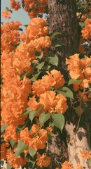 Cinematic Warm Tone Collection &ndash; Autumn Orange, Golden Light, and Fine Art Portraits