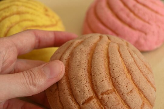 Hand holding a mexican sweet chocolate concha.