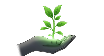 Hand holding a small glowing green plant sprout representing ecology, growth, and sustainability concepts. isolated PNG with Transparent Background
