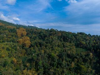 Aerial view of a small rural village surrounded by green tropical forest and hills. Traditional red-roof houses blend with nature, showing peaceful countryside life and beautiful landscape.