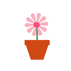 Set of different beautiful flowers on white background. Banner design