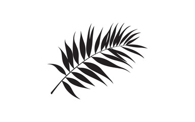 Palm Leaf Silhouette Vector – Tropical Botanical Nature Illustration Design