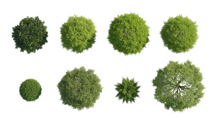 Collection of eight tree top views isolated on transparent background