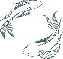 Two Koi Fish Hand Drawn Line Art Illustration Minimal Elegant Style