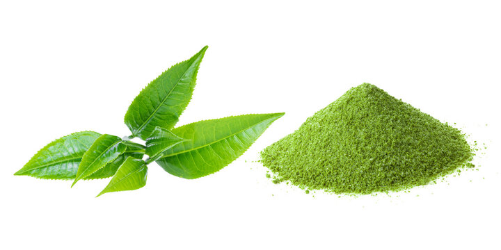 matcha green tea and tea leaves on transparent png ( image from camera )