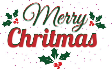 Festive Holly and Berries Merry Christmas Typography Design