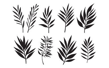 Palm Leaf Silhouette Vector – Tropical Botanical Nature Illustration Design