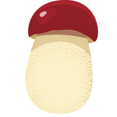 Illustration of a whole mushroom with a red cap and thick stem on a transparent background with a clean and simple design