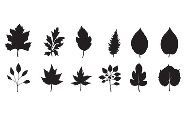 set of autumn leaves