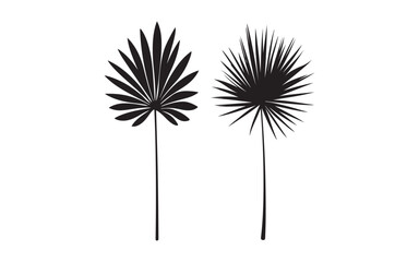 black and white flower