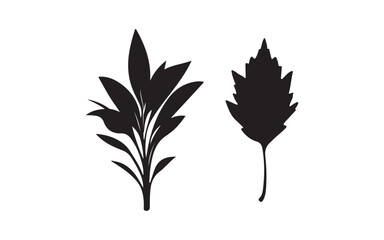 silhouette of a plant