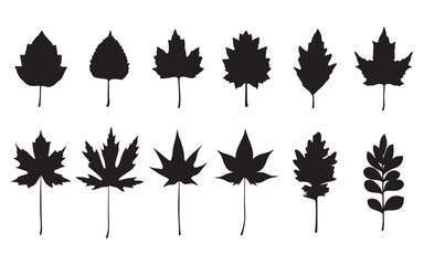 set of autumn leaves