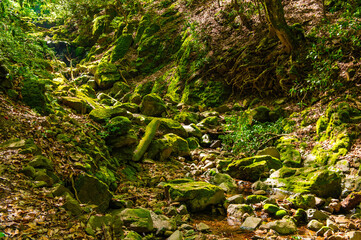 カラ迫岳登山「登山道沿いを流れる沢」