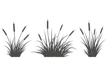 Grass reed black silhouette. Vector swamp tall cattails. Aquatic plants near river and lake isolated on white background. Bulrush high foliage flat illustrations set