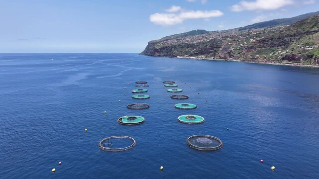 Aerial over round marine pens of offshore aquafarm near Madeira coastline